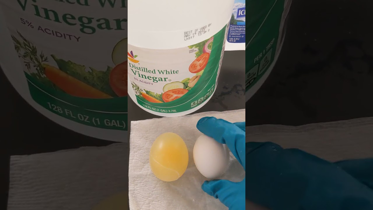 Part 2: Shell-Less Eggs