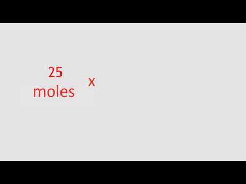 Vidéo: Qu'est-ce que le concept Mole ?