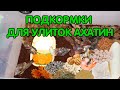 Подкормки для улиток ахатин (кальций, растительный и животный белок)