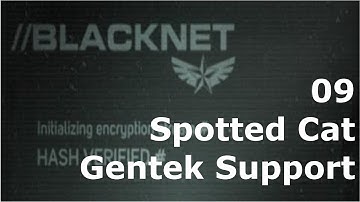 Prototype 2: BLACKNET 09 Spotted Cat - Gentek Support 14-A