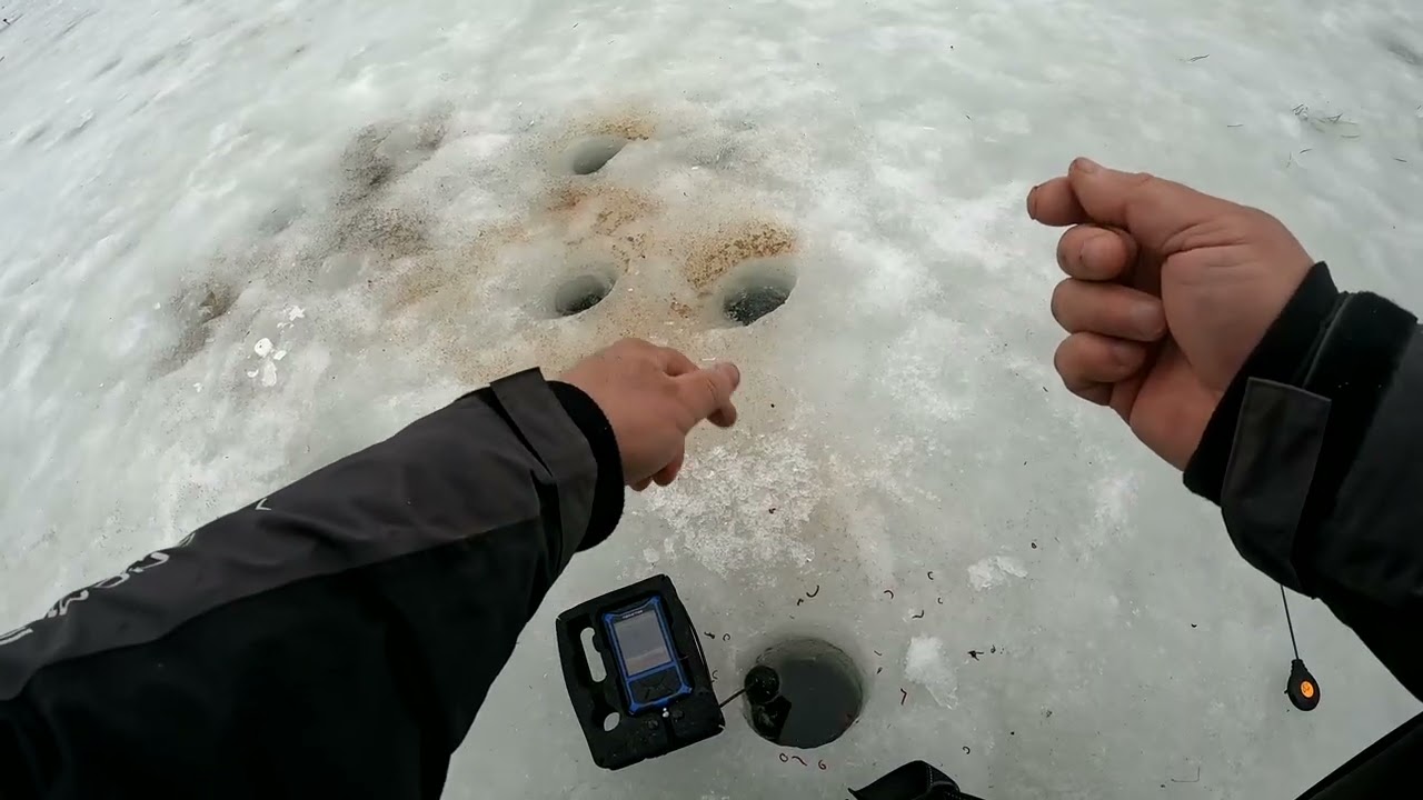 Весна пришла и рыба ушла, отчёт № 443