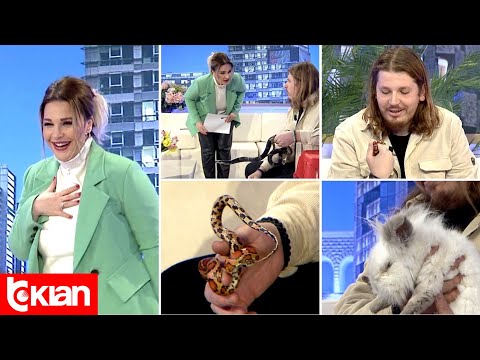 Video: Si të merrni një stomak të sheshtë si një vajzë: 9 hapa