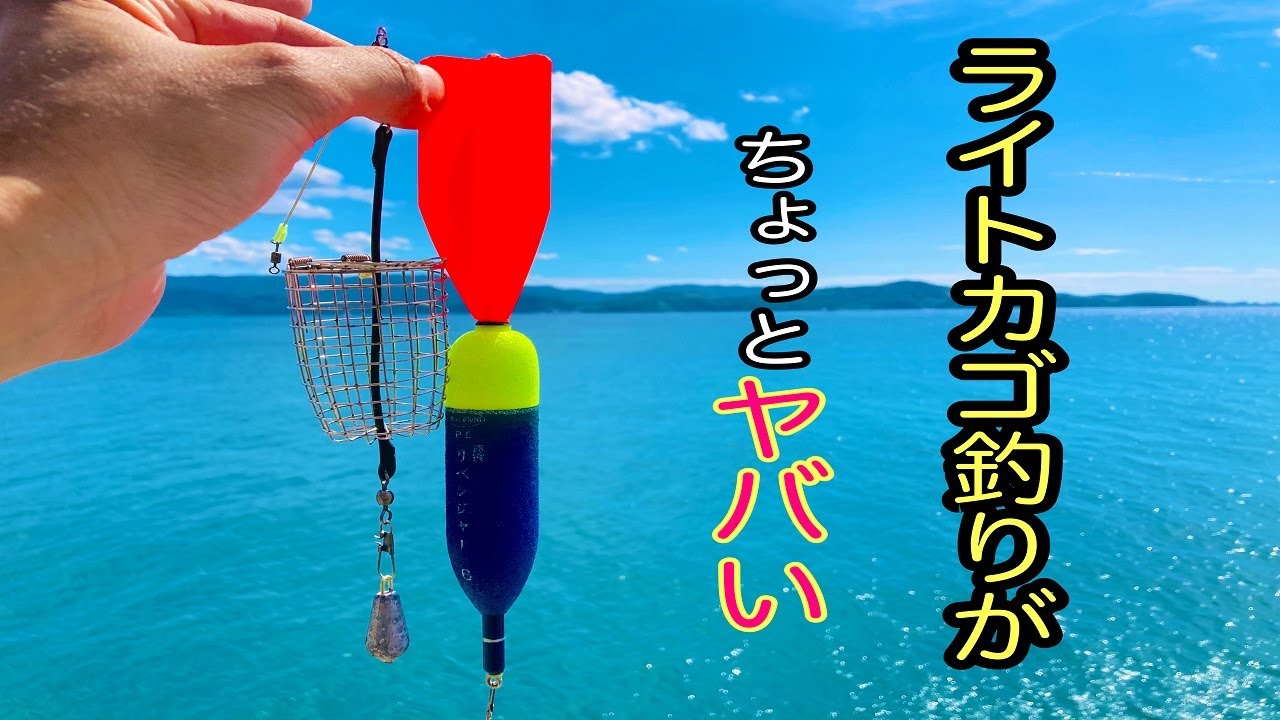 和歌山の有名ポイントで、ちょい投げライトカゴ釣りをすると、こうなります