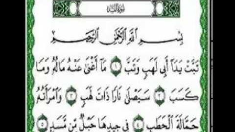 سورة ( الكافرون - النصر - المسد - الاخلاص - الفلق - الناس ) للشيخ د\ محمد صالح ابو زيد