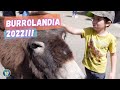 🐴 BurroLandia 2022! Lugar ideal y GRATUITO para ir con NIÑOS en Madrid [Tres Cantos] Ocio en Familia