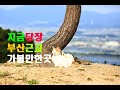 2021년 9월20일 추석이브날 부산근교 가볼만한곳 7곱 1분순삭