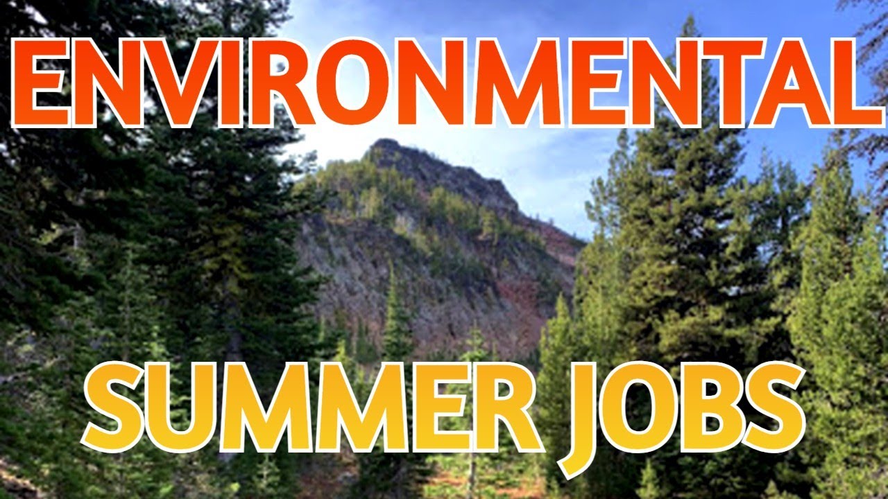 Summer environmental jobs saskatoon