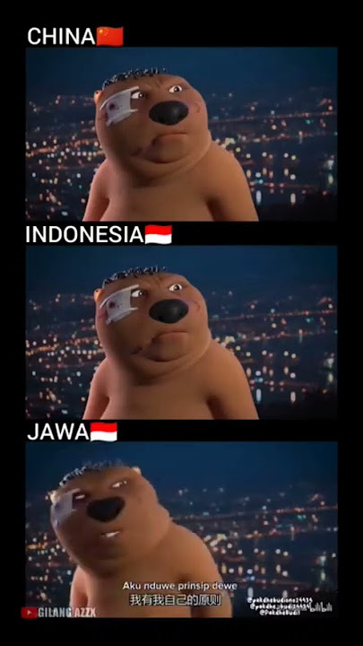 meme berang berang China 3 sub#memes #shorts
