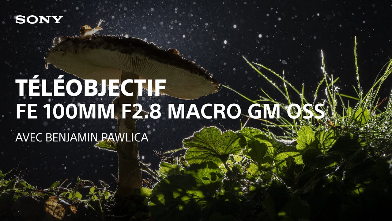 Découvrez le téléobjectif Sony FE 100 mm F2.8 Macro GM OSS