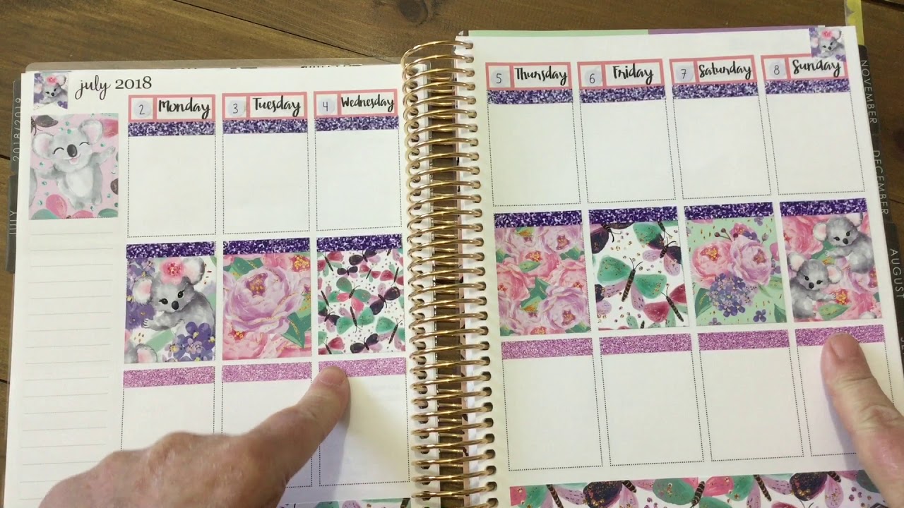 Plan with me Erin Condren ft Hummingbird Planner