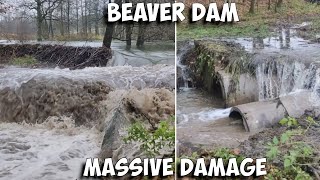 Beaver Dam Removal - Massive Damage - Excavator