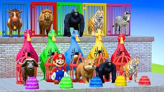 Long Slide Game with Colourful Duck Cow Tiger Gorilla Dog Elephant 3d Animal Game Funny 3d Animals