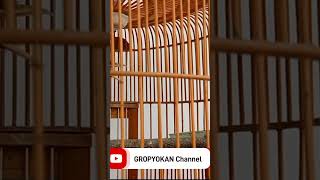 Download Lagu PANGGILAN WAMBI BONGKAR MATERI KENARI MP3