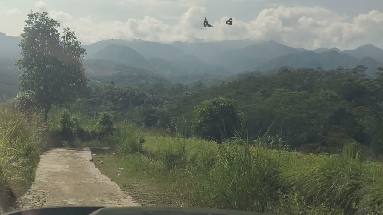 Jalan Masuk Desa Ekowisata Parung Ponteng#  https://youtu.be/bxys-ew4dzk