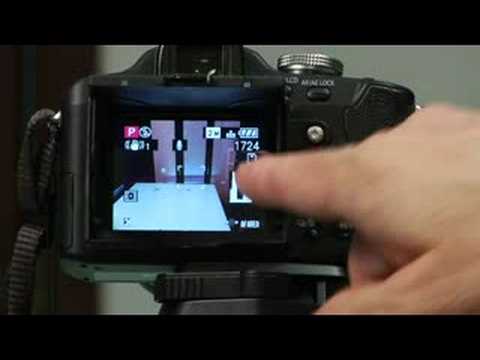 basic-digital-camera-operation-:-digital-camera-lcd-screen