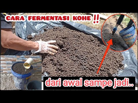 Cara Membuat Pupuk Dari Kotoran Ternak