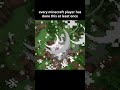 Every player has done this.. 🔥 #minecraft #minecraftmemes