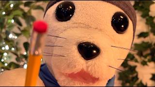 ASMR | You’re Napping While a Cozy Seal Does Your Work ✨🦭💤 screenshot 5