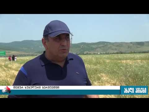 სოფელ ბერშუეთში თემურ ხუბულური ჩავიდა 04.07.2017