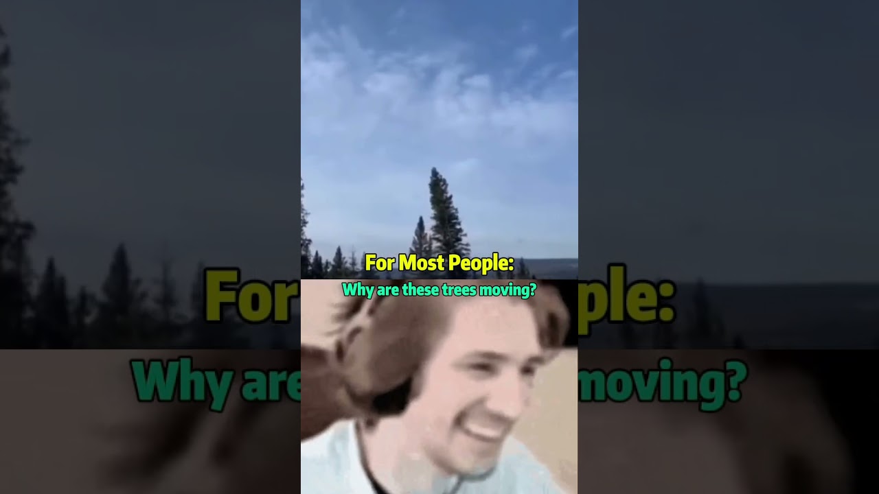 The Palm Tree That Walks! 🌴🚶‍♂️ 