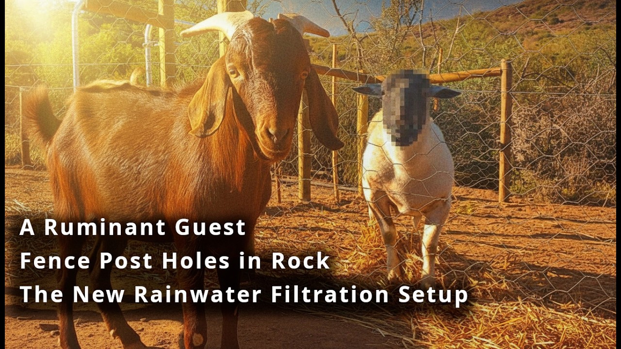 Наша (улучшенная) система фильтрации дождевой воды — автономное водоснабжение (+ к нам присоедини...