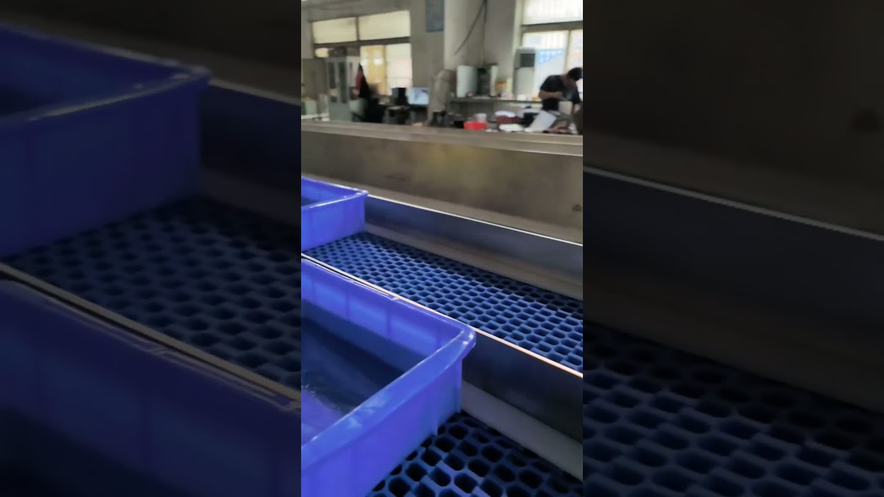 High quality turning modular belt conveyor for medicine industry  