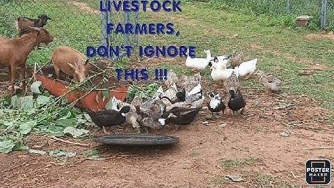 How to start a farm from scratch. (A beginner