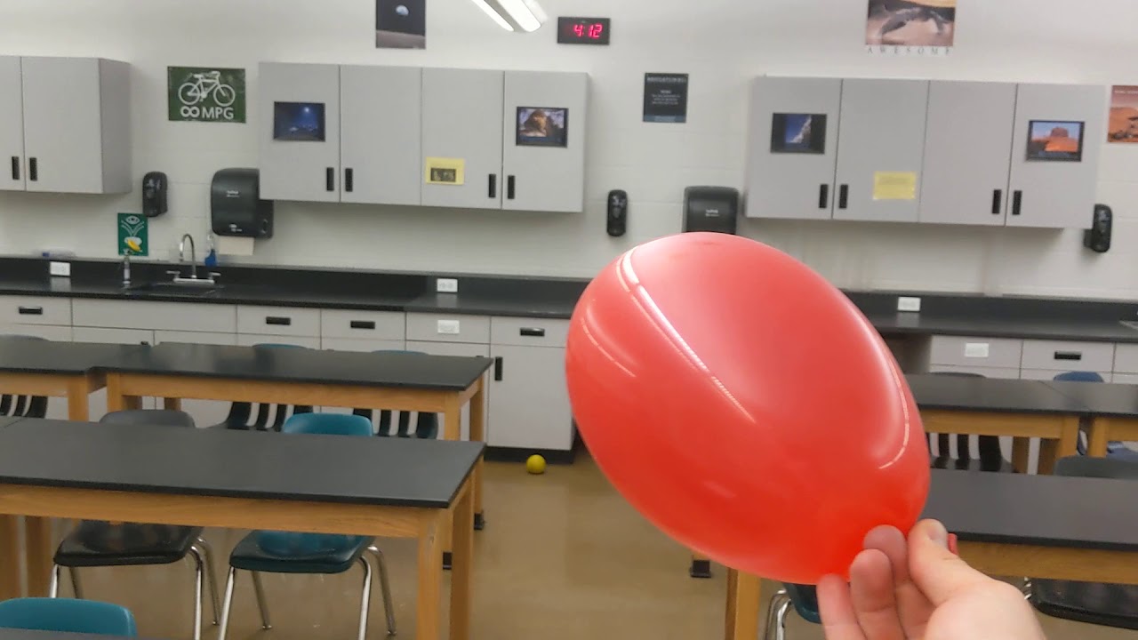 Newton's Laws Stations