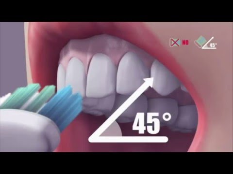 Video Hướng dẫn đánh răng đúng cách - youtube