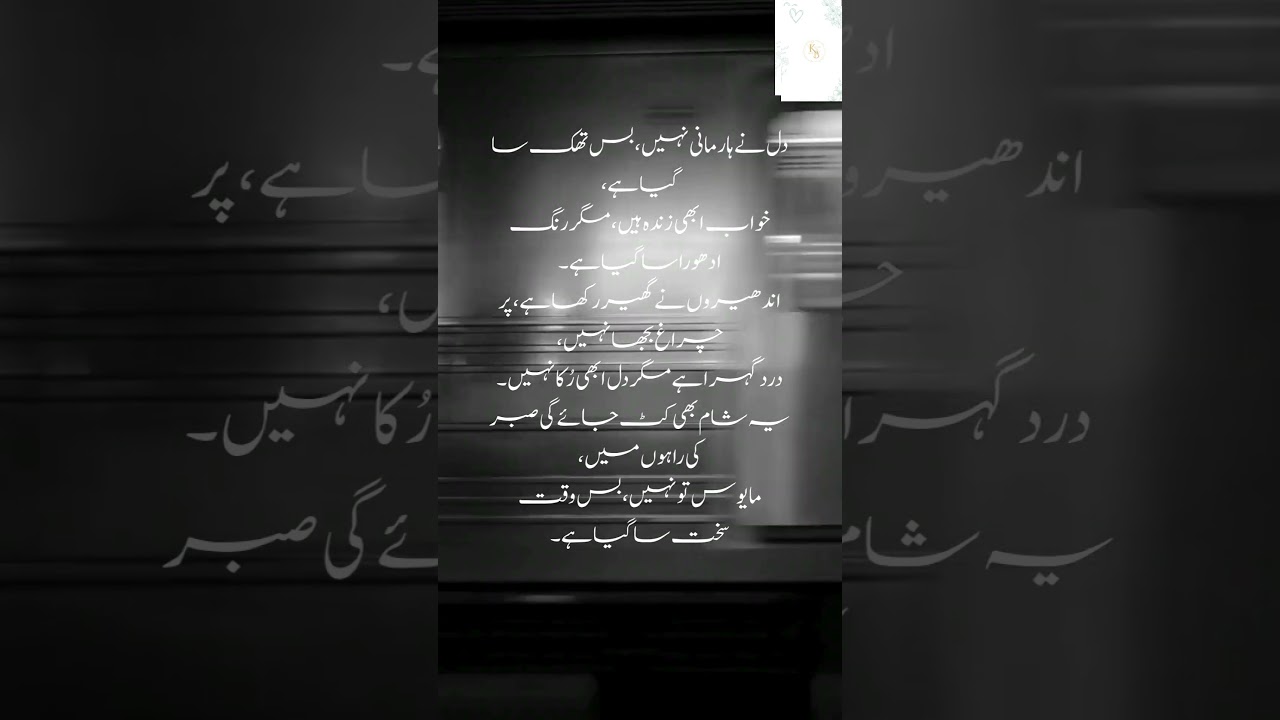 poetry🌹 For You — Stories That Made Pakistan Fall in Love Again!