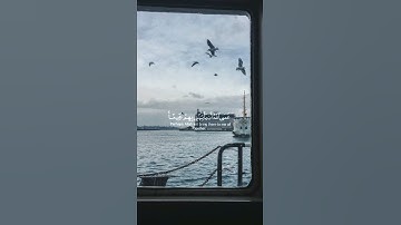 سورة يوسف تلاوة بصوت مريح للقلب 😍🧡