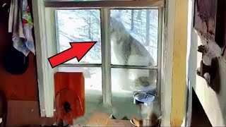 Женщина чуть не сошла с ума, когда увидела ЭТО в окно своего дома!