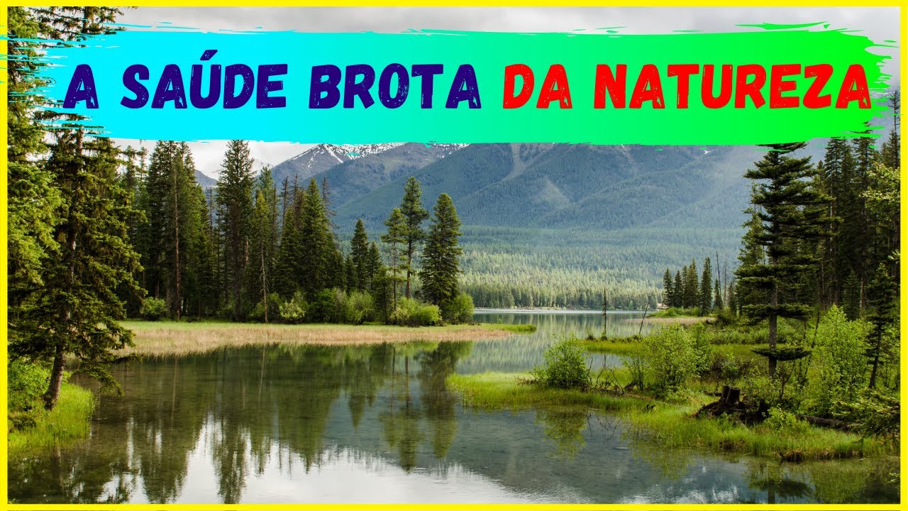 📗 A Saúde Brota da Natureza com Jaime Bruning, Aprenda como Tratar Diversas Doenças Natural 👇👇👇
