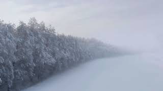 Evermore    tis The Damn Season 