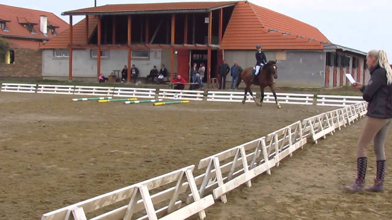 Licencia Zairin Dvor Lucka