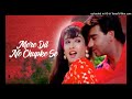 Mere Dil Ne Chupke Se _ Gair (1999) _ Ajay Devgan _ Raveena Tandon _ Udit Narayan _ Sadhana Sargam Mp3 Song