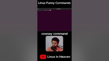 cowsay command | Linux funny commands #shorts  #bashscripting #linux #opensource #coding #sysadmin