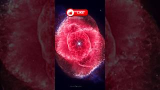 Viral,"MAWAR RAKSASA"!Di Luar Angkasa!#viral#sains#fakta#remaja#anak#ipa#space#hiburan#faktaunik