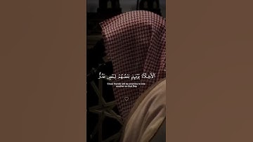 ﴿الأَخِلّاءُ يَومَئِذٍ بَعضُهُم لِبَعضٍ عَدُوٌّ إِلَّا المُتَّقينَ﴾تلاوة الشيخ #ماهر_المعيقلي 💗💗