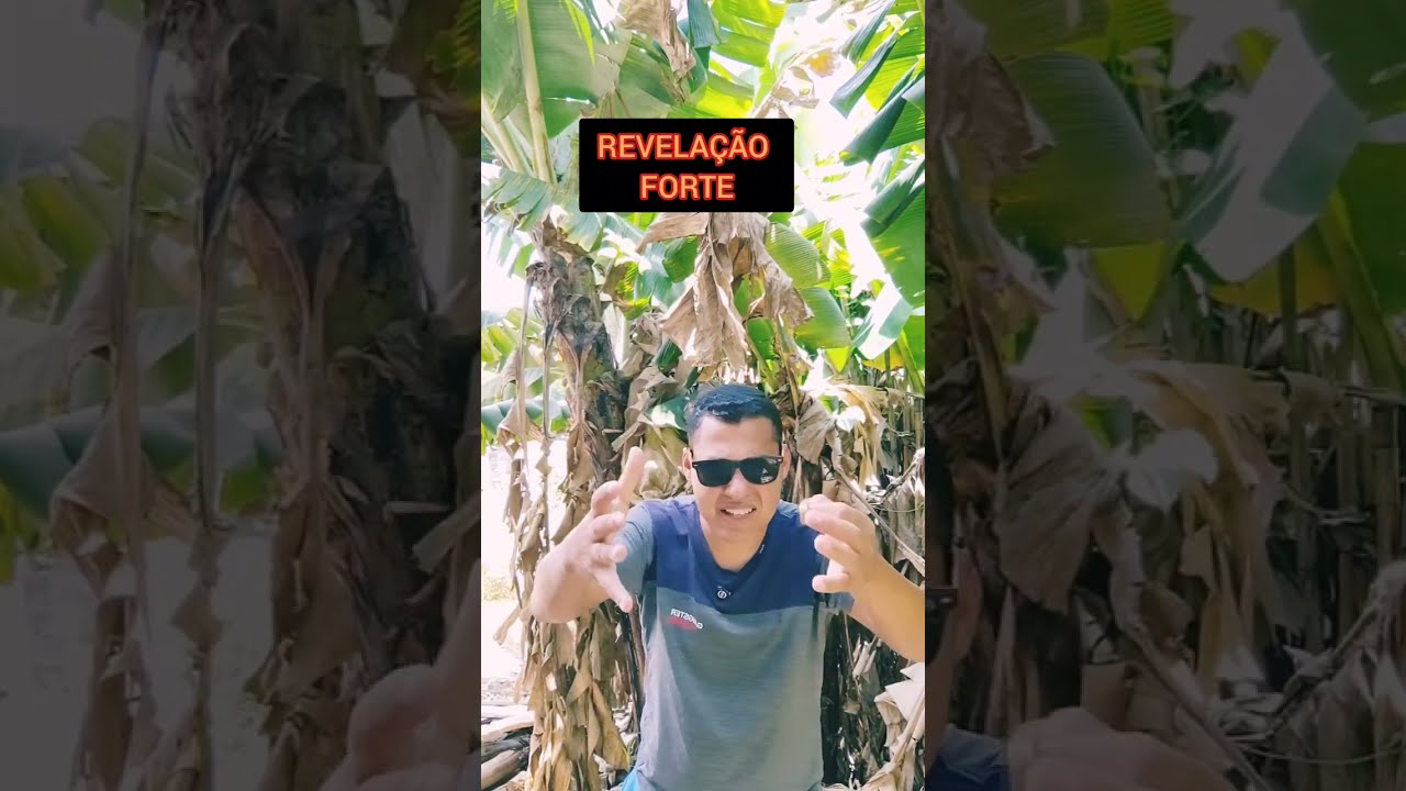 UM PEDIDO DE CASAMENTO 