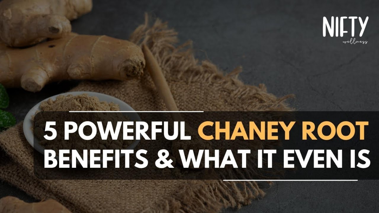 Discover What Chaney Root Is: 5 Benefits You Can't Ignore! - Nifty Wellness