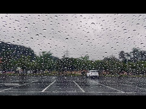 4K | 60FPS | 차안에서 듣는 빗소리 | 백색소음 | 수면 | 안정 | 공부