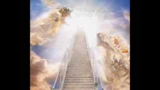 In loving memory of Sophia