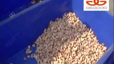 Cashew Nuts Processing Equipment|Cashew Nut Shelling Processing Machine