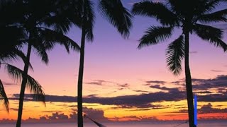 Vidéo fortnite asmr