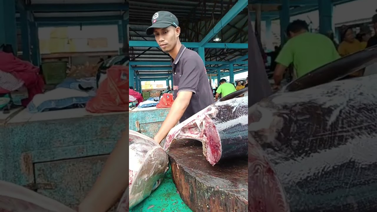 Good job! This young man cut a big tuna 