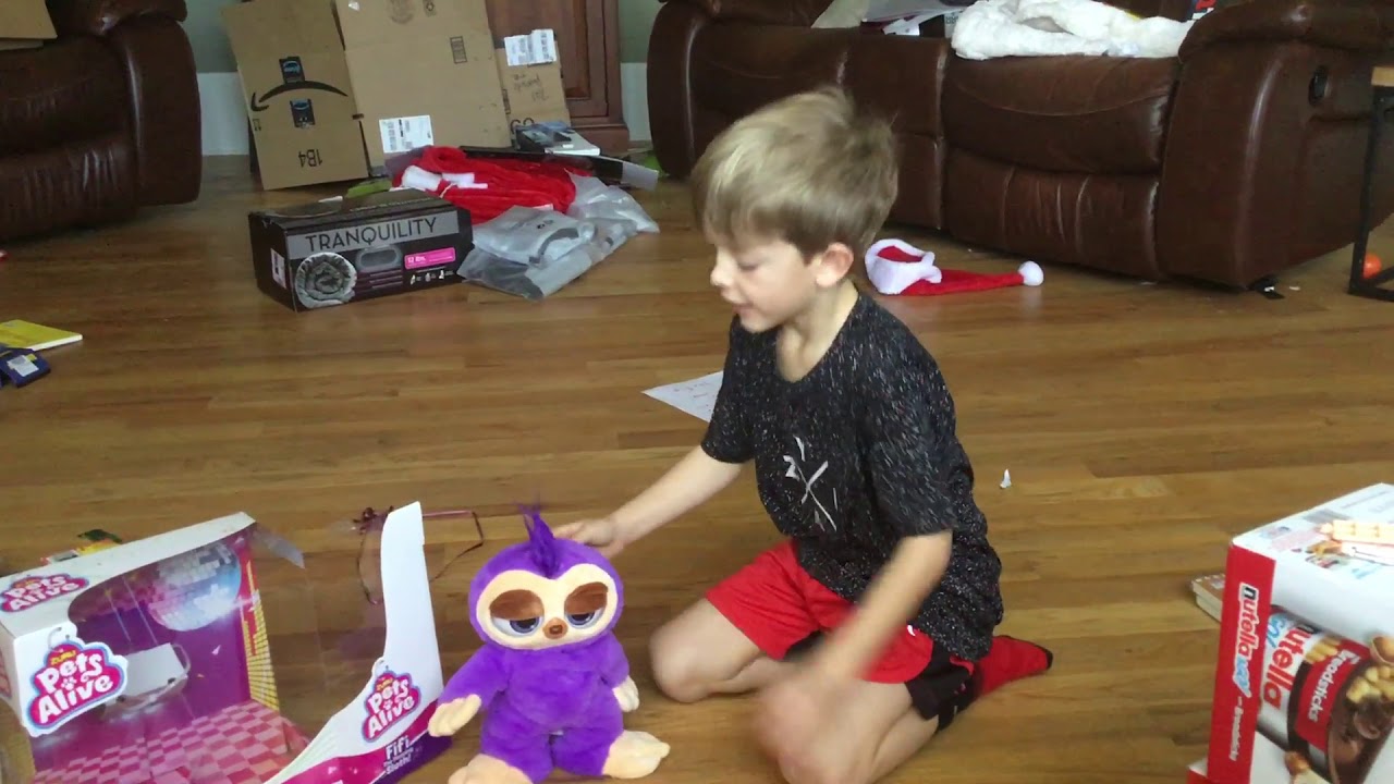 Pets Alive Dancing Sloth Review by Kip