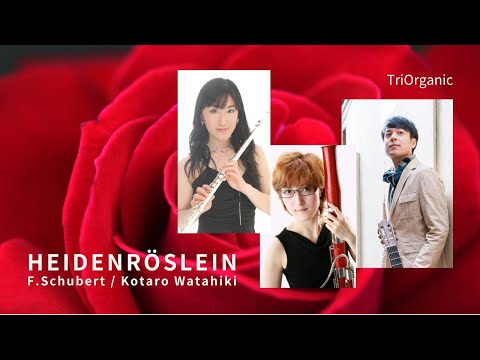 シューベルト野ばら(歌曲)　フルート、ファゴット、ギター３重奏版　Heidenröslein Schubert, arranged by Watahiki, played by TriOrganic