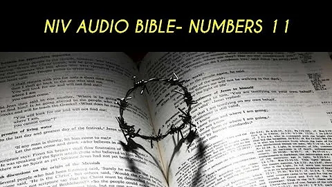 NUMBERS 11 NIV AUDIO BIBLE (with text)