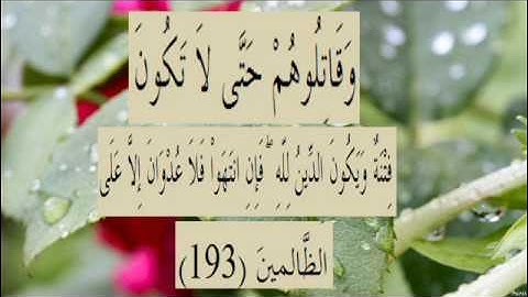 القران الكريم سورة البقرة الاية 193